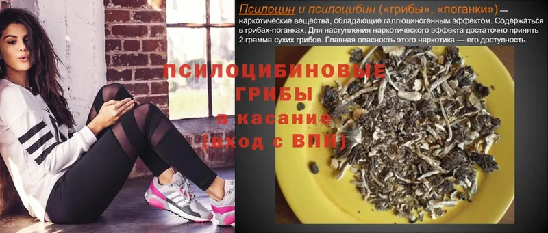 Галлюциногенные грибы мухоморы  купить наркоту  Барнаул 